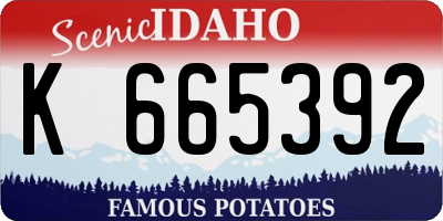 ID license plate K665392