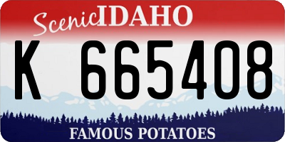 ID license plate K665408