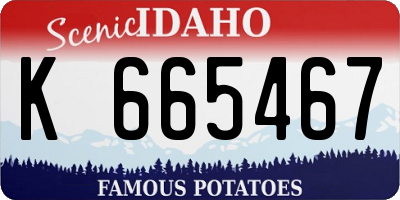 ID license plate K665467