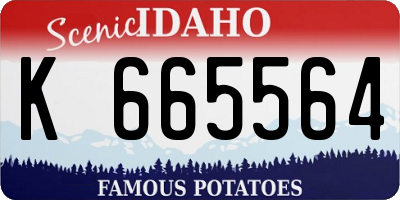ID license plate K665564