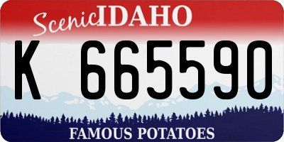 ID license plate K665590