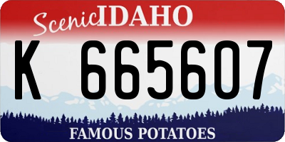 ID license plate K665607