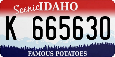ID license plate K665630
