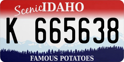 ID license plate K665638