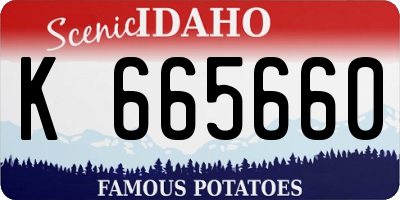 ID license plate K665660