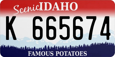 ID license plate K665674