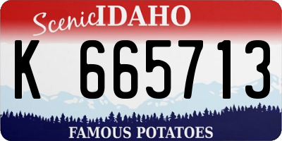 ID license plate K665713