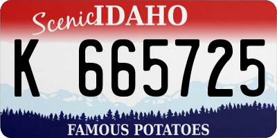 ID license plate K665725
