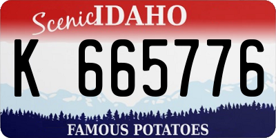 ID license plate K665776