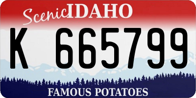 ID license plate K665799
