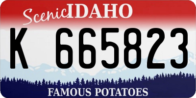 ID license plate K665823