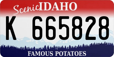 ID license plate K665828