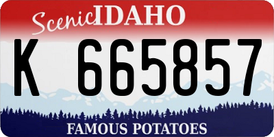 ID license plate K665857