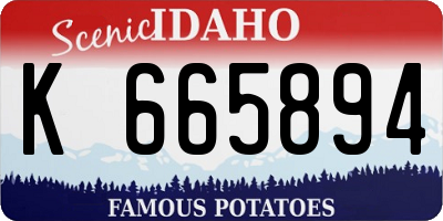 ID license plate K665894