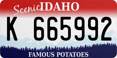 ID license plate K665992