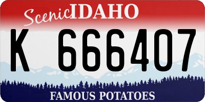 ID license plate K666407
