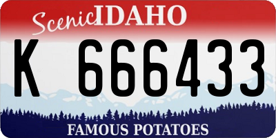 ID license plate K666433