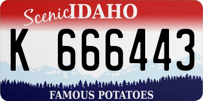 ID license plate K666443