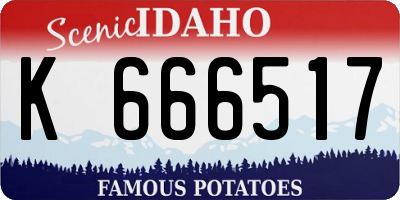 ID license plate K666517