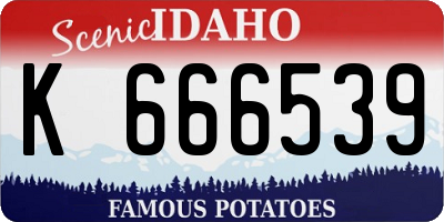 ID license plate K666539