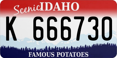 ID license plate K666730