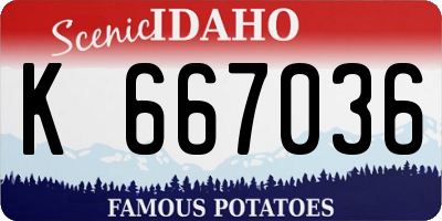 ID license plate K667036