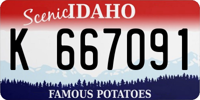 ID license plate K667091