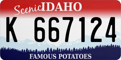 ID license plate K667124