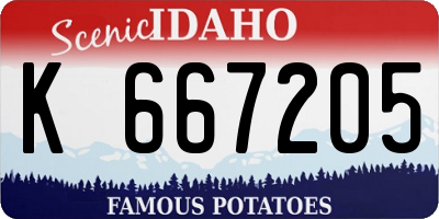 ID license plate K667205