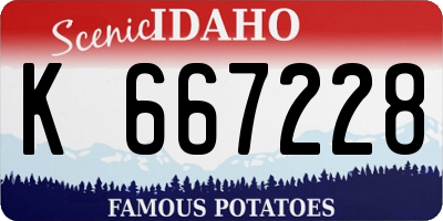 ID license plate K667228