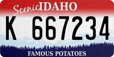 ID license plate K667234