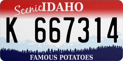 ID license plate K667314