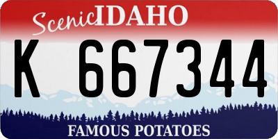 ID license plate K667344