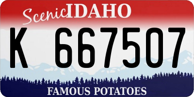ID license plate K667507
