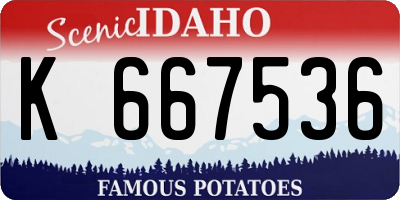 ID license plate K667536