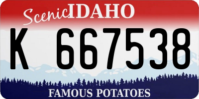 ID license plate K667538