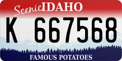 ID license plate K667568