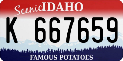 ID license plate K667659
