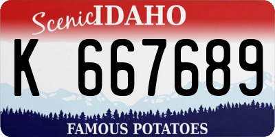 ID license plate K667689