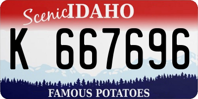 ID license plate K667696
