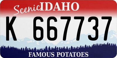 ID license plate K667737