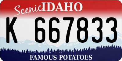 ID license plate K667833