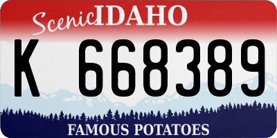 ID license plate K668389