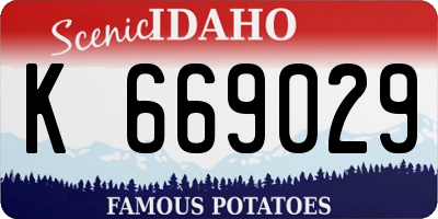 ID license plate K669029
