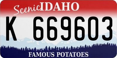 ID license plate K669603