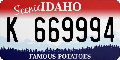 ID license plate K669994
