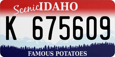 ID license plate K675609