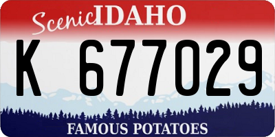 ID license plate K677029
