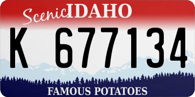 ID license plate K677134