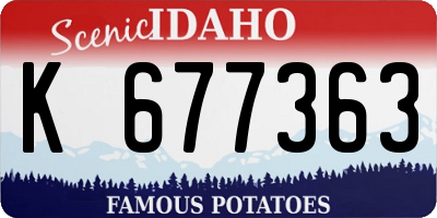 ID license plate K677363